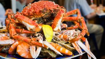 travel to France - boiled atlantic crab on seafood plate in local fish restaurant in Treguier town in the Cotes-d'Armor department of Brittany