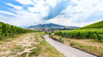 travel to France - country road to village between green vineyards in region of Alsace Wine Route in summer day