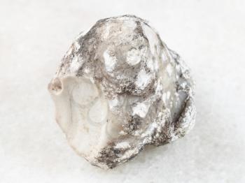 macro shooting of natural mineral rock specimen - rough cacholong stone on white marble background from Kazakhstan
