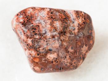 macro shooting of natural mineral rock specimen - polished leopardskin jasper gemstone on white marble background