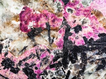 natural background from polished pink eudialyte mineral with black aegirine crystals in syenite (lujaurite) rock close up