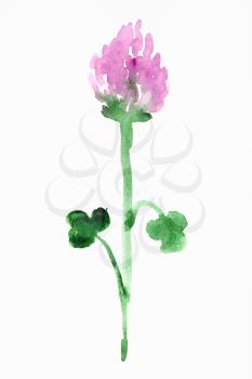 training drawing in suibokuga sumi-e style with watercolor paints - pink clover flower hand painted on white paper