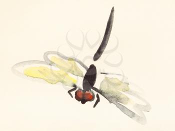 training drawing in suibokuga sumi-e style with watercolor paints - flying dragonfly hand painted on cream colored paper