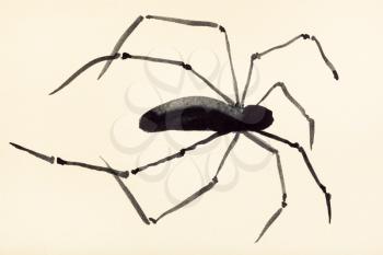 training drawing in suibokuga sumi-e style with watercolor paints - spider painted on cream colored paper