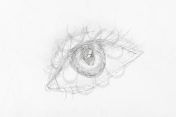 sketch of human eye hand-drawn by lead pencil on white paper