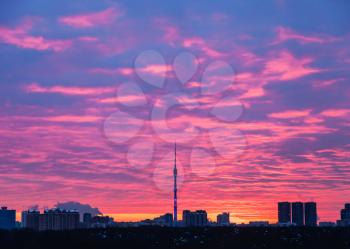 blue and pink sunrise over Moscow city at spring