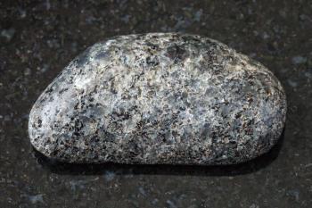 macro shooting of natural rock specimen - tumbled Peridotite stone with Phlogopite mica on black granite background from Kovdor region, Kola Peninsula, Russia