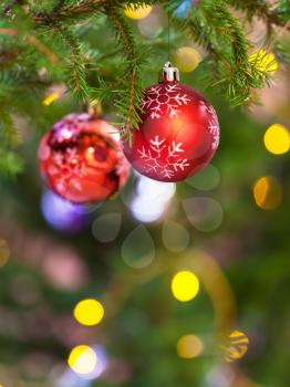 Xmas background - two red balls on natural fir christmas tree branch indoor
