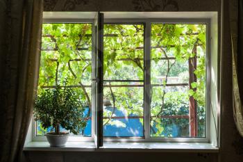 window in country house with houseplant in sunny summer day in Kuban region of Russia