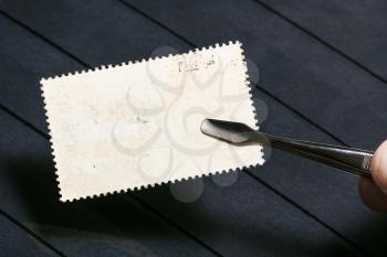 philately concept - tongs keeps postage stamp with unused back side