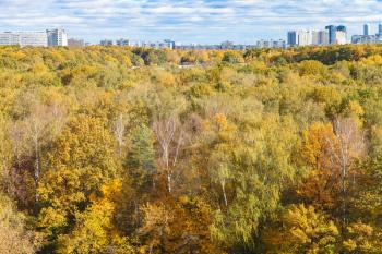 colorful forest of Timiryazevskiy park and Moscow city district in sunny october day