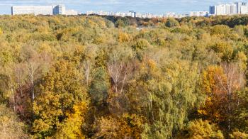 colorful forest of Timiryazevskiy park and residential district of Moscow city in sunny october day