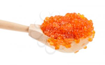 side view of big wooden spoon with salted russian red caviar of pink salmon fish isolated on white background