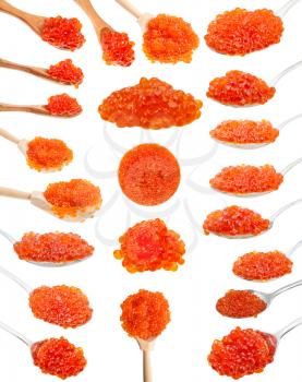 collage from various spoons with red salmon caviar isolated on white background