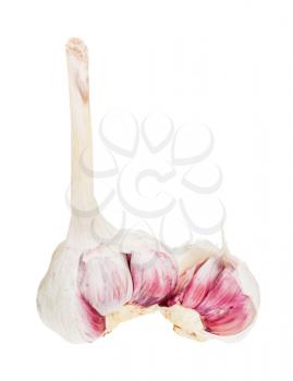 broken bulb of fresh garlic isolated on white background