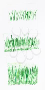 successive training sketches of green grass hand-drawn by green pencil on white paper