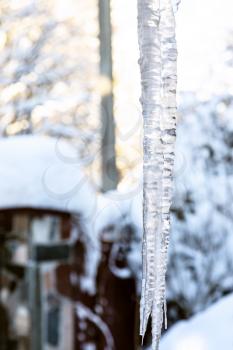 icicle and blurred snow-covered fence of village house on background on cold winter day (focus on the icicle on foreground)