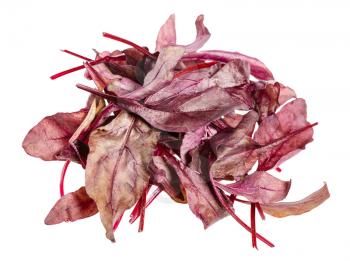 heap of fresh leaves of red Chard leafy vegetable (mangold, beet tops) isolated on white background