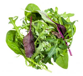 mix of assorted small young salad greens isolated on white background