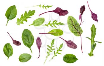 different leaves of various leafy vegetables (chard, spinach, arugula) isolated on white background