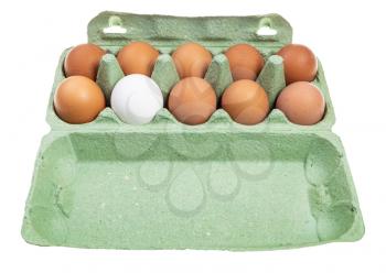 ten various chicken eggs (nine brown eggs and one white) in green cardboard container isolated on white background