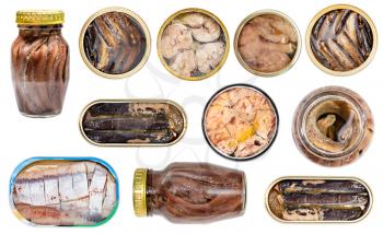 collage from various canned fishes isolated on white background
