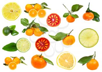 collection of various citrus fruits isolated on white background