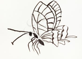 butterfly hand-drawn by black watercolor on creamy-white paper in sumi-e (suibokuga) style