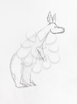 sketch of large kangaroo hand-drawn by black pencil on white paper