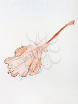 fallen oak leaf hand-drawn by colour pencils on white paper