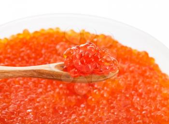 little wooden spoon with salted russian red caviar of sockeye salmon fish over plastic container with red roe of pink salmon isolated on white background