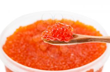 little wooden spoon with salted russian red caviar of sockeye salmon fish with blurred plastic container with red roe of pink salmon on background isolated on white