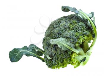 fresh green Broccoli with leaves isolated on white background