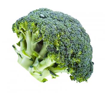 side view of fresh green Broccoli isolated on white background