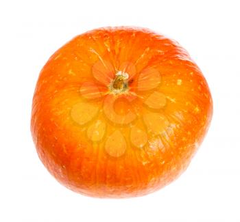ripe orange pumpkin head isolated on white background
