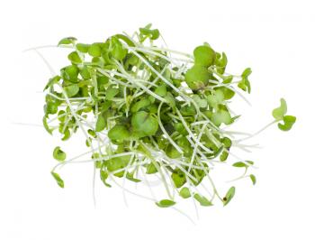 top view of heap from twigs of fresh green mustard cress plant isolated on white background
