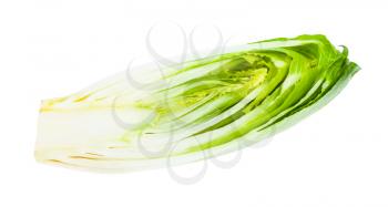 cross-section of Belgian endive (white Common chicory) isolated on white background