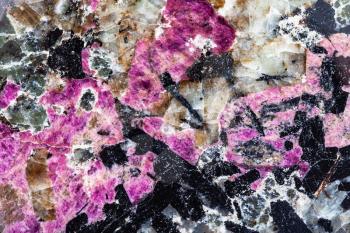 background from polished natural syenite (lujaurite) rock with purple eudialyte mineral and black aegirine crystals close up
