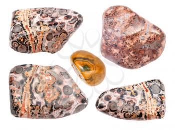 set of various Leopard skin jasper (Jaguar Stone) gemstones isolated on white background