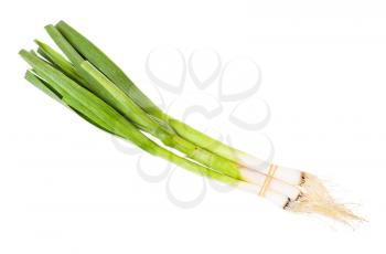 bunch of green young spring garlic isolated on white background