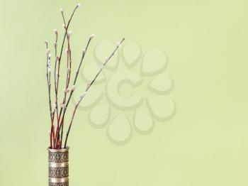 pussy willow sunday (palm sunday) feast concept - bunch of flowering pussy-willow twigs in vintage pewter jug on olive pastel background with copyspace