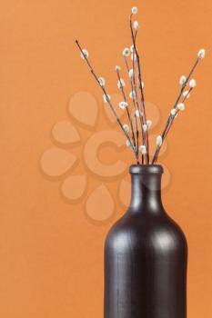 vertical pussy willow sunday (palm sunday) feast still-life - natural pussy-willow twigs in ceramic bottle on brown pastel background with copyspace