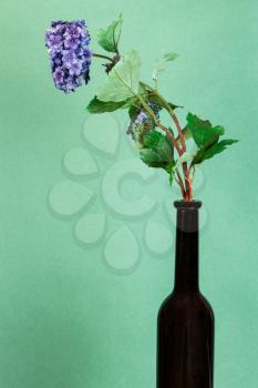 artificial flower in brown bottle on green pastel color vertical background with copyspace