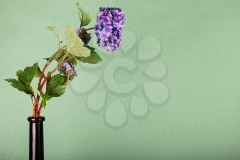 artificial flower in wine bottle on olive pastel color background with copyspace