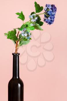 artificial flower in brown glass bottle on peach pastel color background