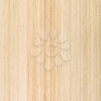 square wooden background - unpainted pine plank with vertical wood pattern close up
