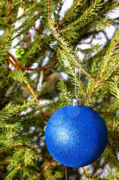 blue ball on natural christmas tree close-up indoor