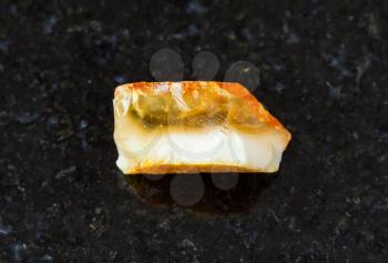 closeup of sample of natural mineral from geological collection - rough yellow Amber gemstone on black granite background from Baltic Sea, Kaliningrad, Russia