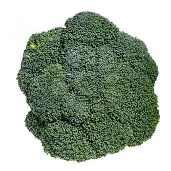 top view of piece of fresh green Broccoli isolated on white background