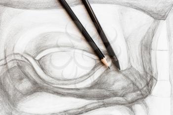 two various graphite pencils on hand-drawn academic drawing of David's eye close up